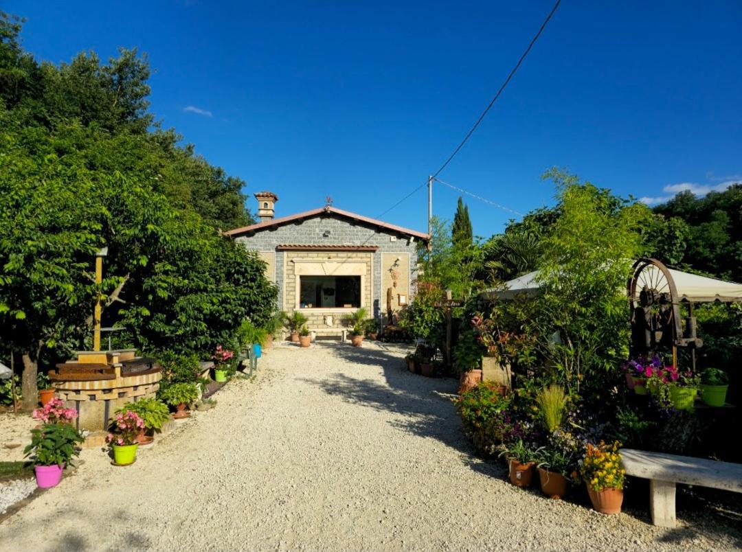 Agriturismo Le Fontane - Lago Di Bolsena Villa Grotte di Castro Ngoại thất bức ảnh