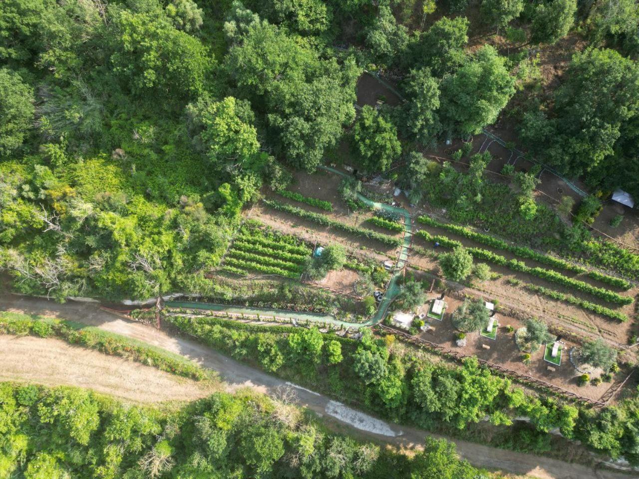 Agriturismo Le Fontane - Lago Di Bolsena Villa Grotte di Castro Ngoại thất bức ảnh